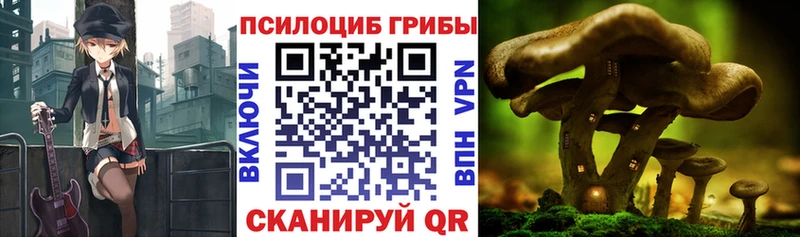 Купить  Томилино  Галлюциногенные грибы мухоморы 